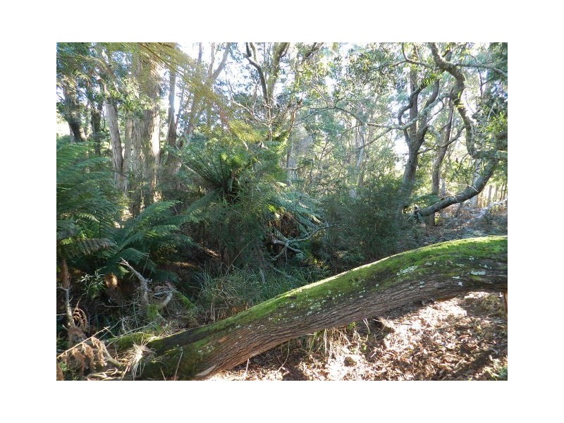 924 Calder Road, Calder TAS 7325