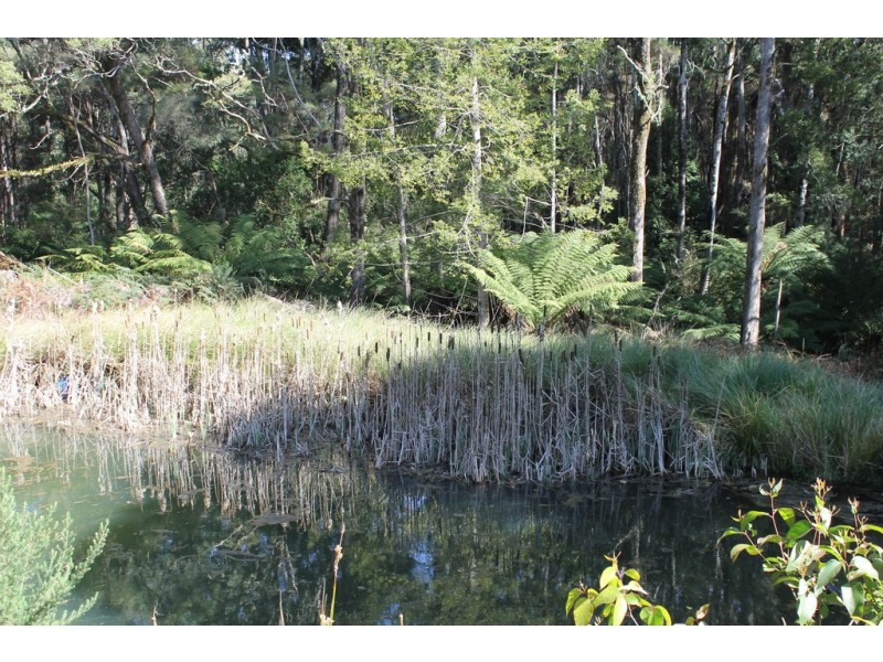 130 Lyons Road, Lapoinya TAS 7325