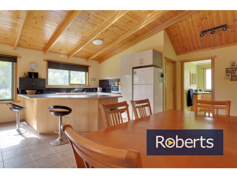 91 Regrowth Spur, Wynyard TAS 7325