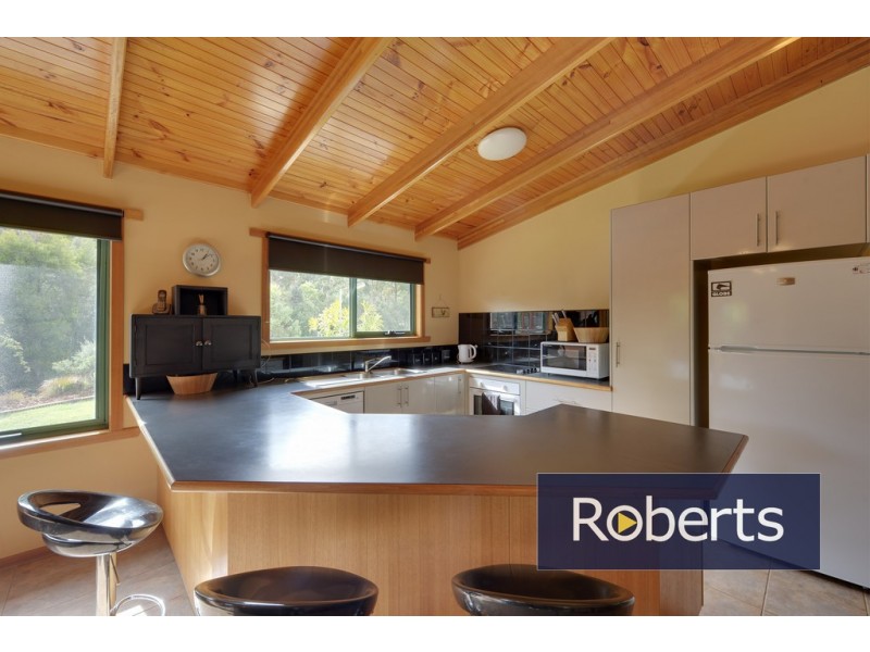 91 Regrowth Spur, Wynyard TAS 7325