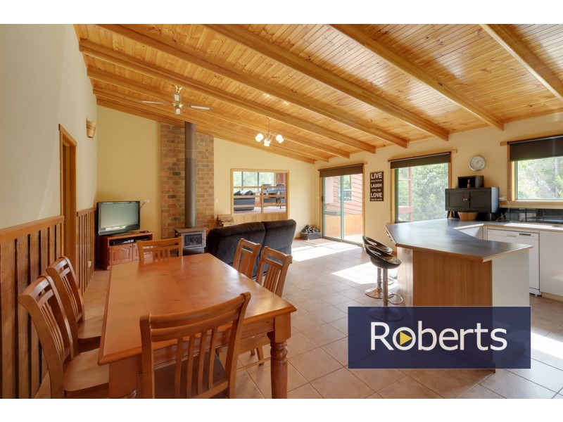91 Regrowth Spur, Wynyard TAS 7325