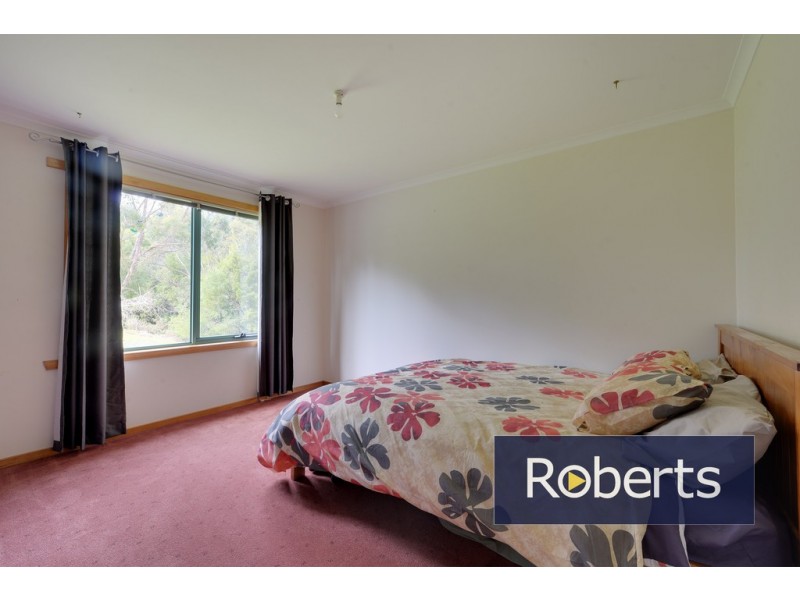 91 Regrowth Spur, Wynyard TAS 7325