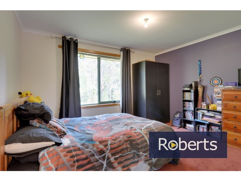 91 Regrowth Spur, Wynyard TAS 7325