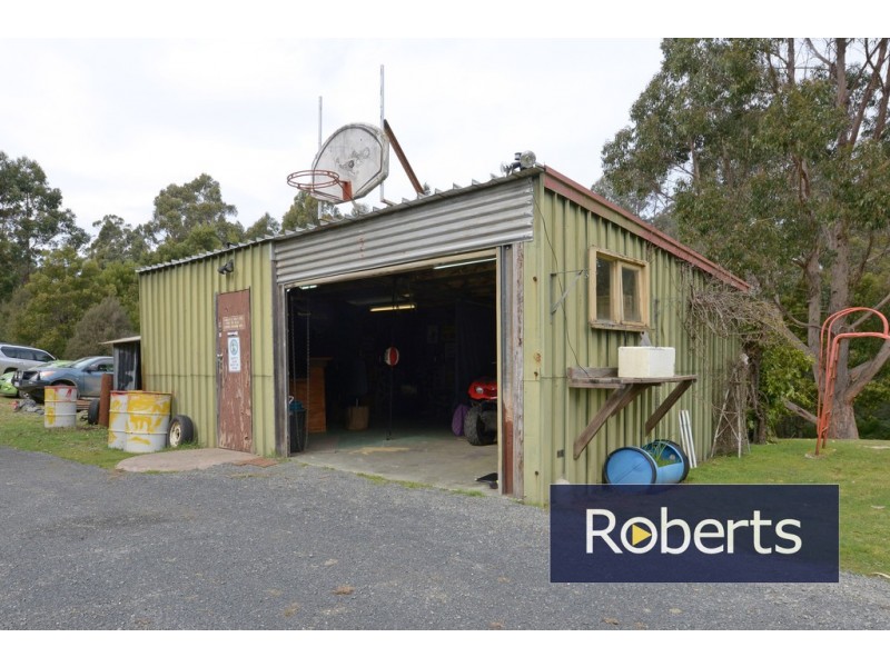 91 Regrowth Spur, Wynyard TAS 7325