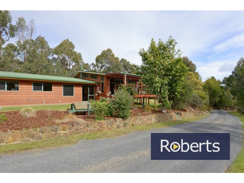 91 Regrowth Spur, Wynyard TAS 7325