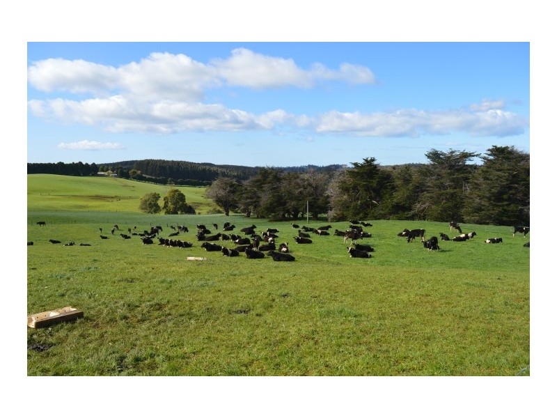 1291 Calder Road, Calder TAS 7325