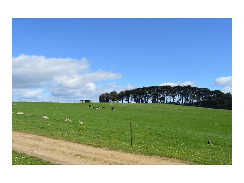 1291 Calder Road, Calder TAS 7325