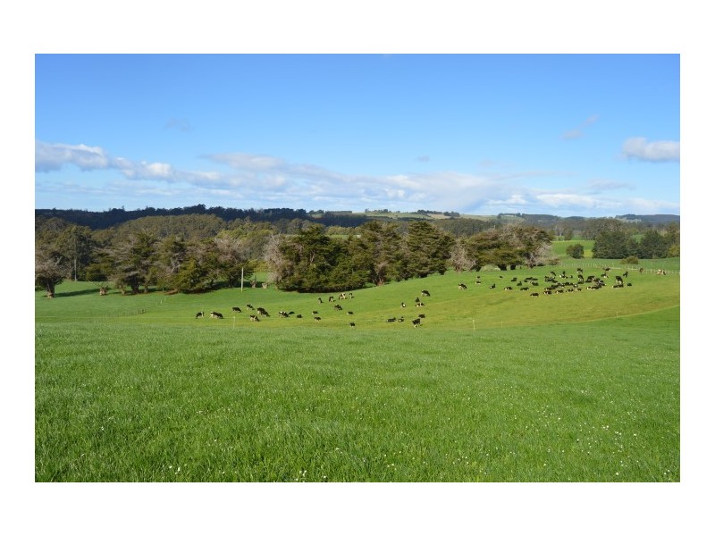 1291 Calder Road, Calder TAS 7325