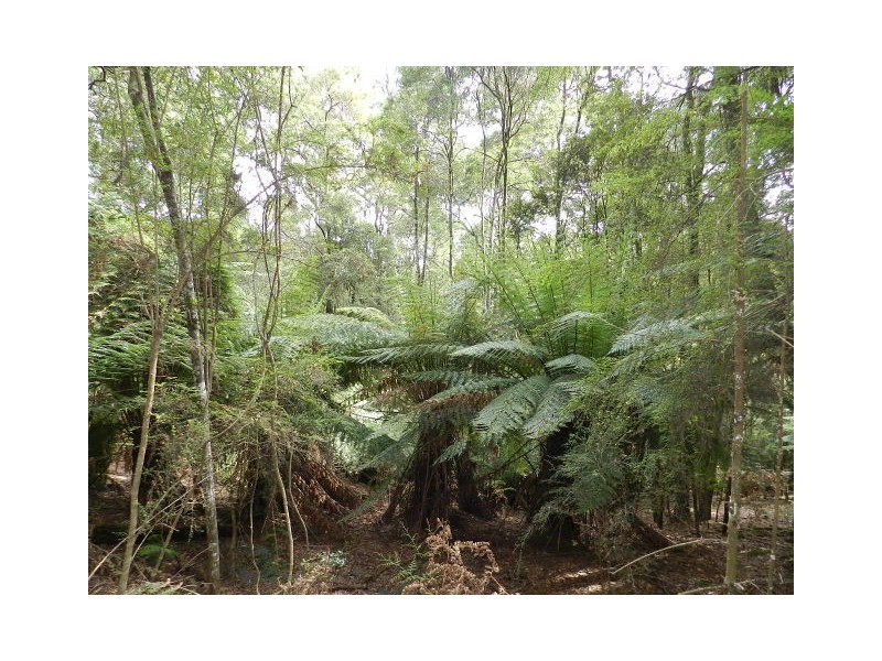 75 Locketts Road, Oldina TAS 7325