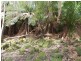 75 Locketts Road, Oldina TAS 7325