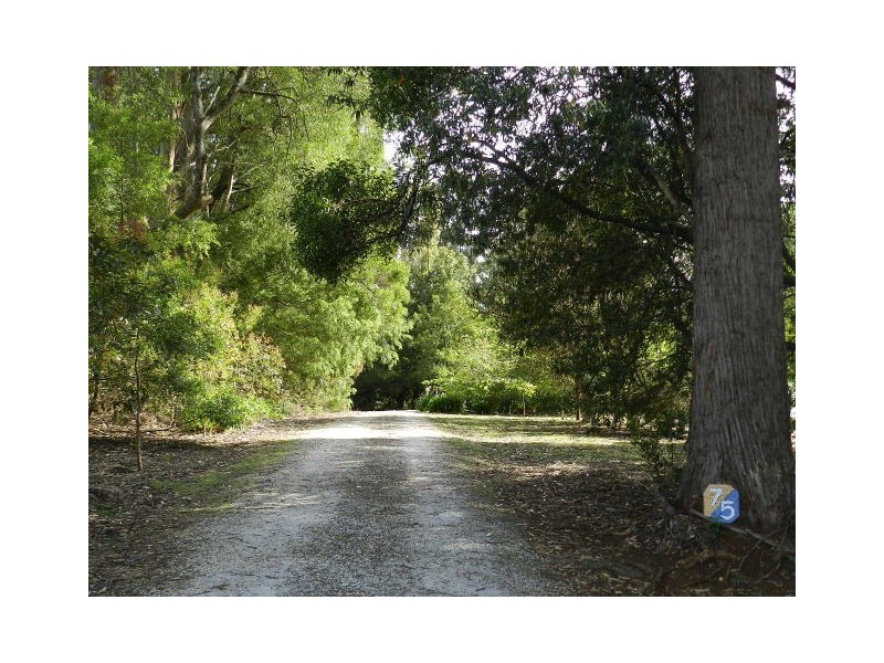75 Locketts Road, Oldina TAS 7325
