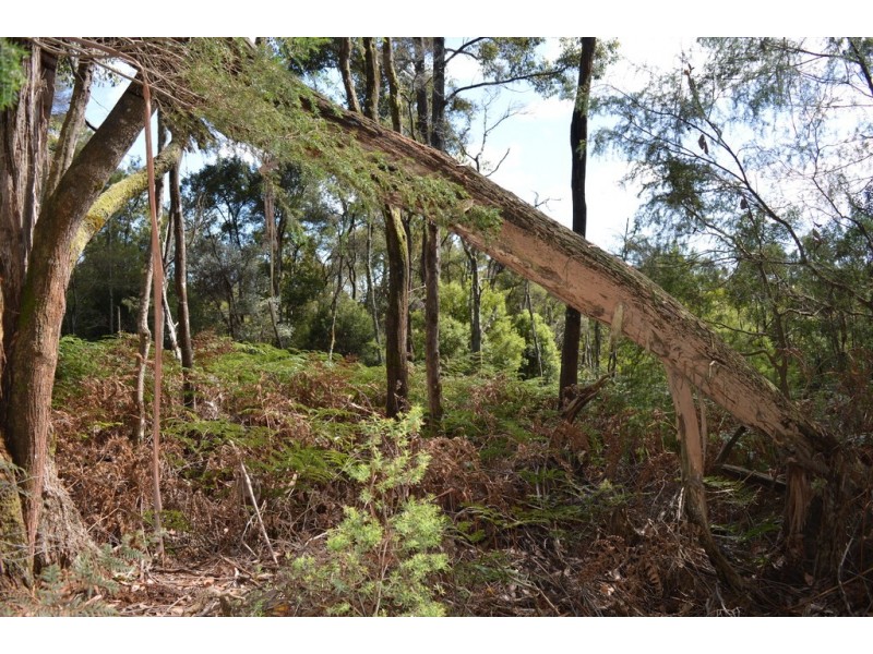 0 Reservoir Drive, Wynyard TAS 7325