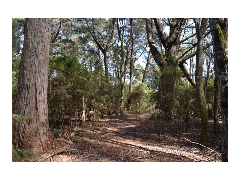 0 Reservoir Drive, Wynyard TAS 7325