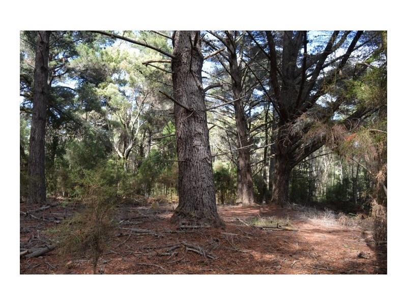 0 Reservoir Drive, Wynyard TAS 7325