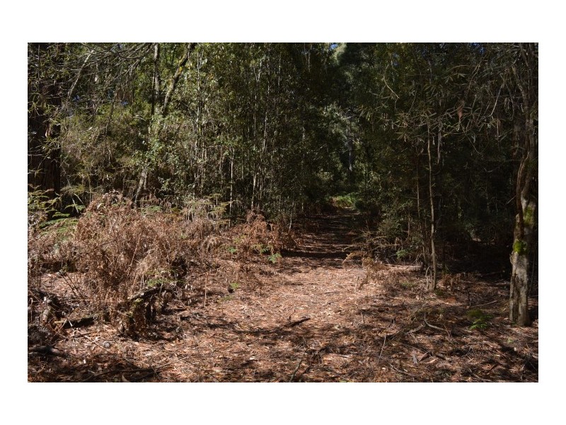 0 Reservoir Drive, Wynyard TAS 7325