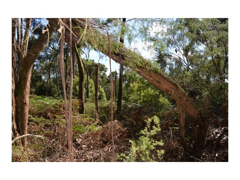 0 Reservoir Drive, Wynyard TAS 7325