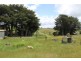 1650 Mount Hicks Road, Yolla TAS 7325