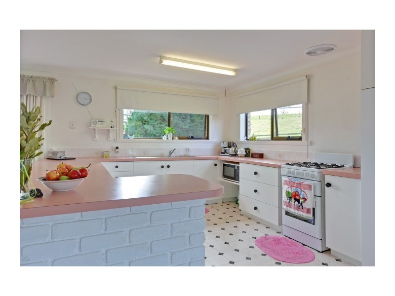 186 Old Mount Hicks Road, Mount Hicks TAS 7325