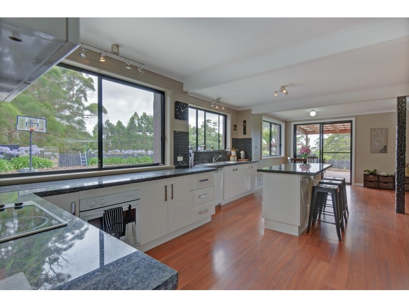 394 Preolenna Road, Flowerdale TAS 7325