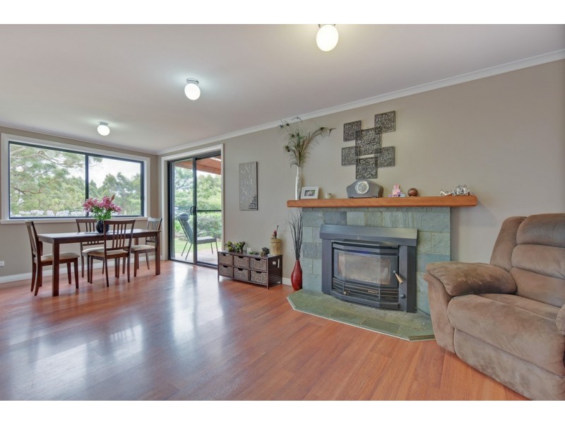 394 Preolenna Road, Flowerdale TAS 7325