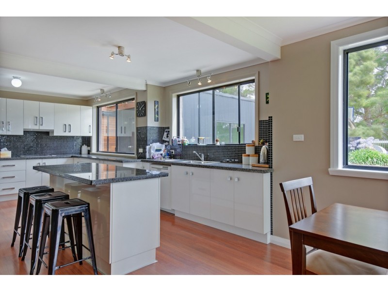 394 Preolenna Road, Flowerdale TAS 7325