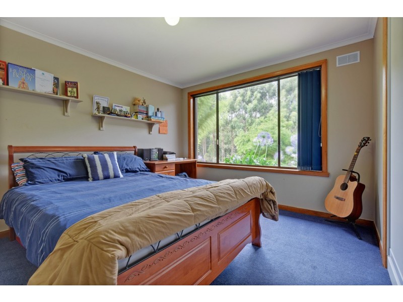 394 Preolenna Road, Flowerdale TAS 7325