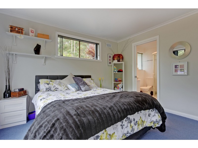 394 Preolenna Road, Flowerdale TAS 7325