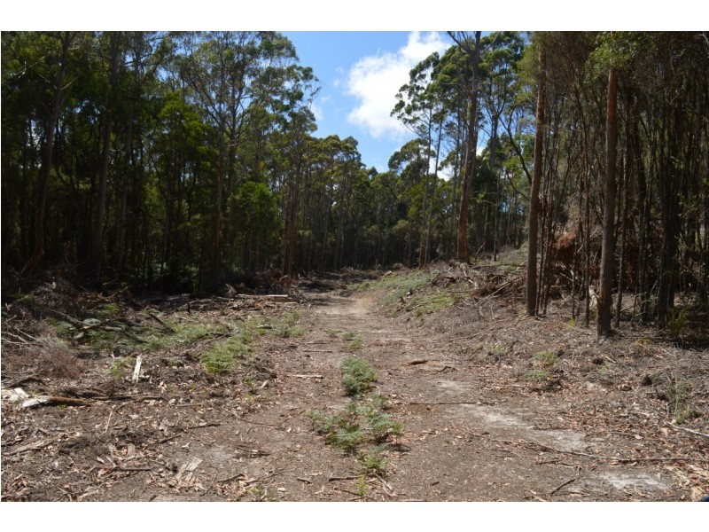 12 Beatties Road, Lapoinya TAS 7325