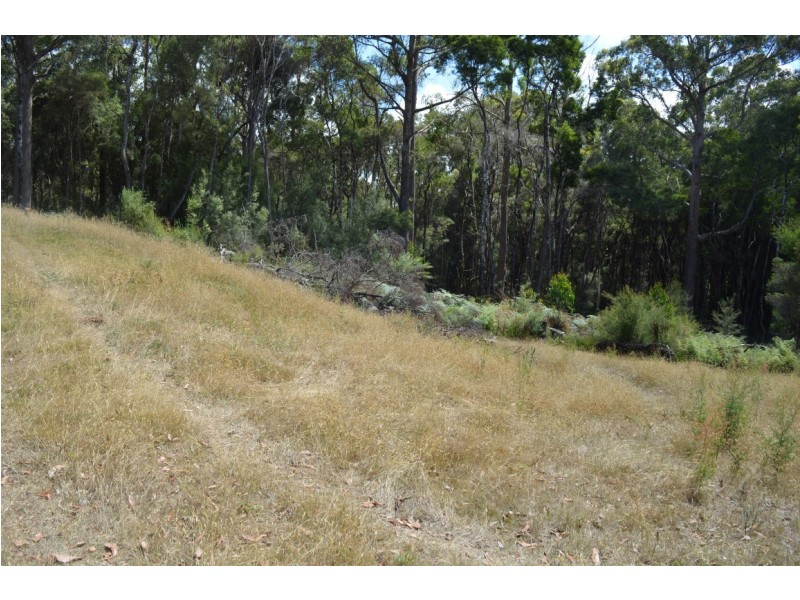 12 Beatties Road, Lapoinya TAS 7325