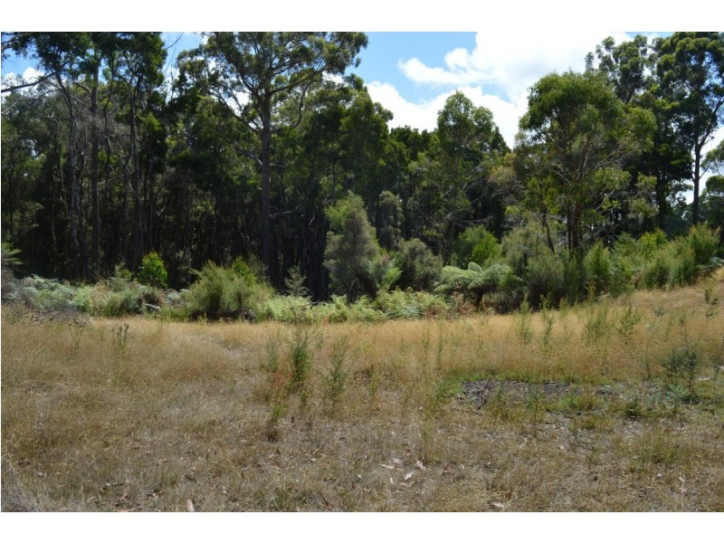 12 Beatties Road, Lapoinya TAS 7325