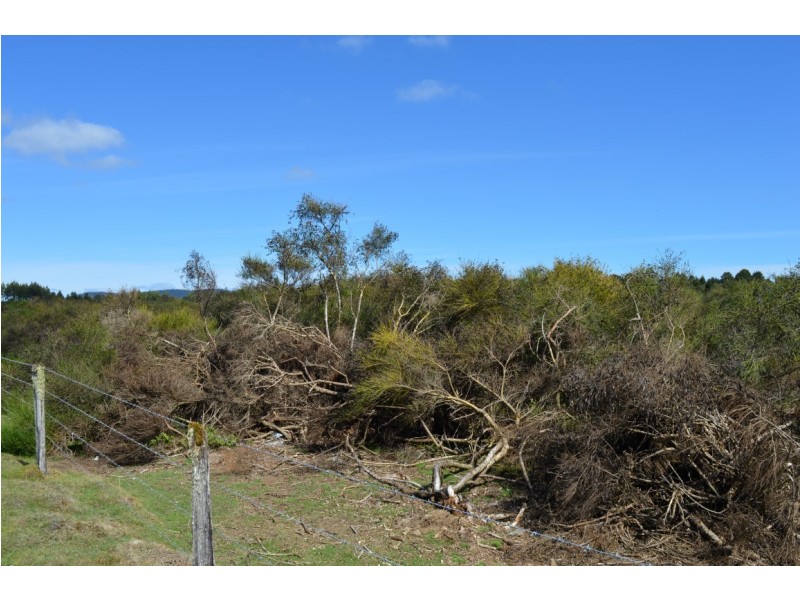 Lots 2 and 3 Waratah Road, Waratah TAS 7321