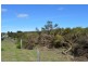 Lots 2 and 3 Waratah Road, Waratah TAS 7321