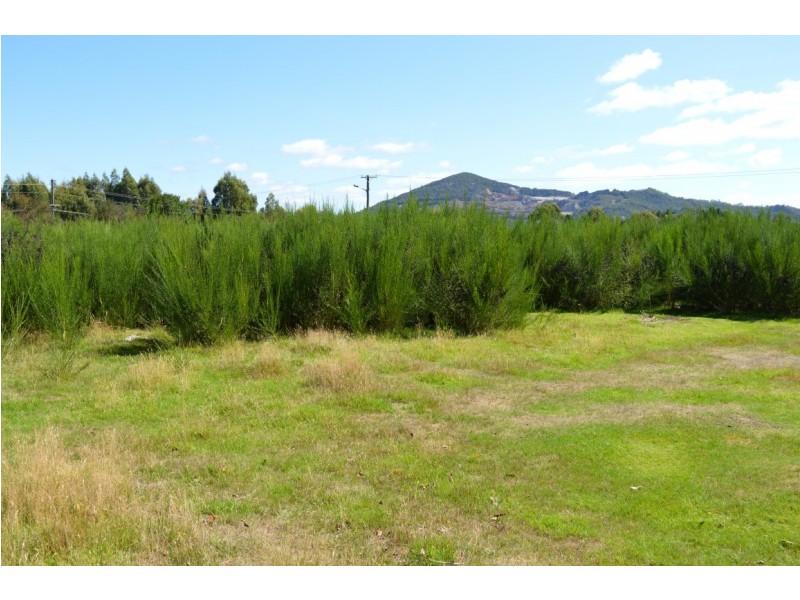 12 Sprent Street, Waratah TAS 7321