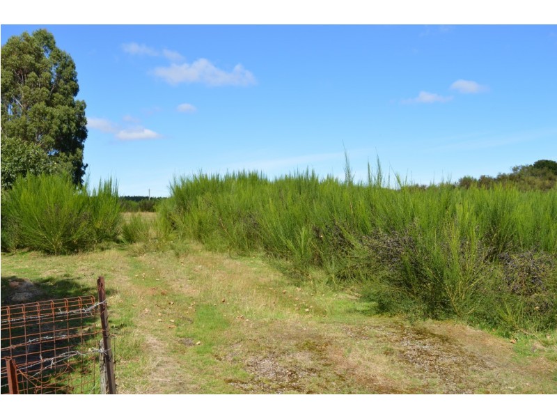 12 Sprent Street, Waratah TAS 7321