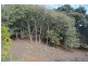 321 South Elliott Road, Elliott TAS 7325