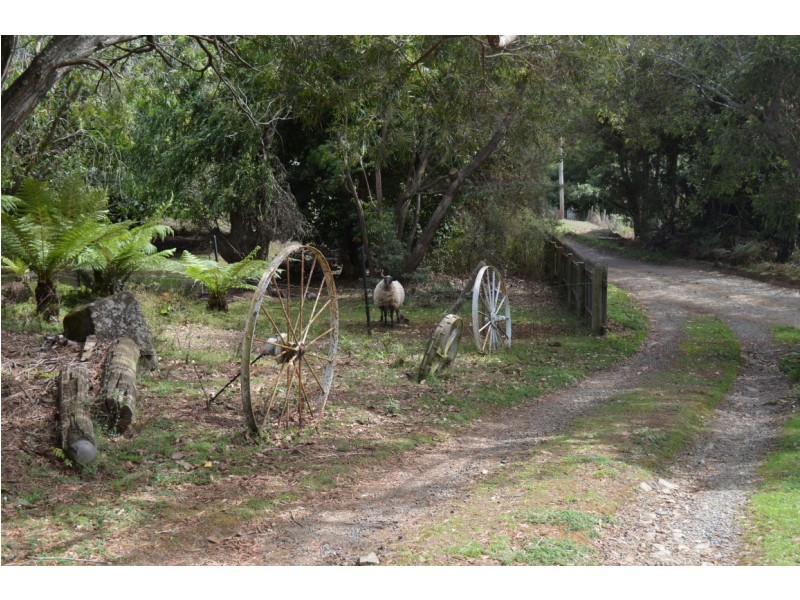 321 South Elliott Road, Elliott TAS 7325