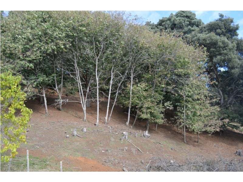 321 South Elliott Road, Elliott TAS 7325