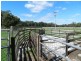 124 Stennings Road, Wynyard TAS 7325