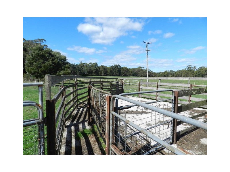 124 Stennings Road, Wynyard TAS 7325