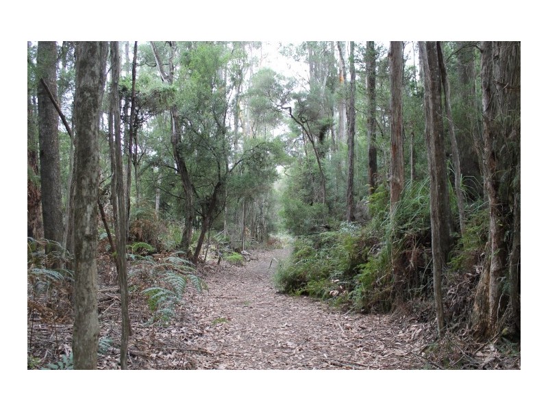 25 Dip Road, Mawbanna TAS 7321