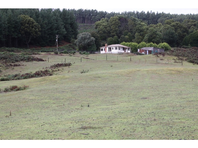 228 Coalmine Road, Preolenna TAS 7325