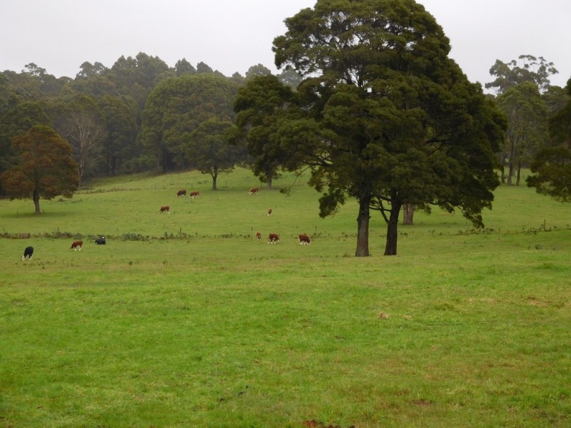 61 Masons Road, Milabena TAS 7325