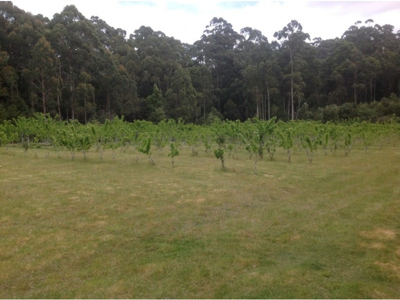 61 Masons Road, Milabena TAS 7325