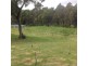 61 Masons Road, Milabena TAS 7325