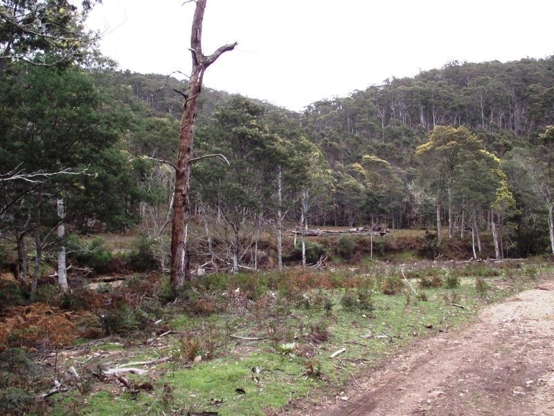 . Henry Street, Mangana TAS 7214