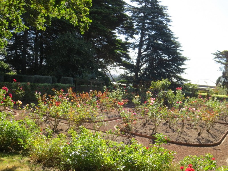 23 Station Road, St Leonards TAS 7250