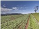 Lot 1 Bass Highway, Deloraine TAS 7304
