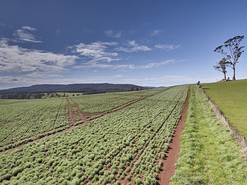 Lot 1 Bass Highway, Deloraine TAS 7304