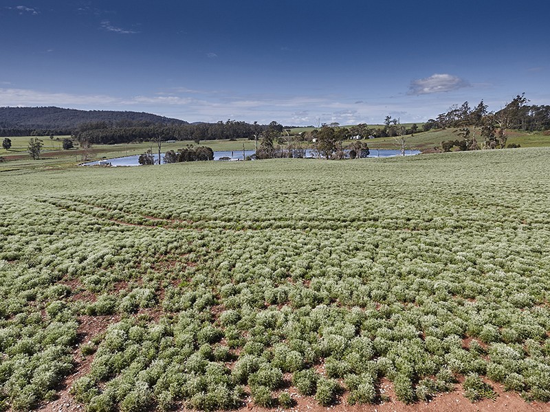 Lot 1 Bass Highway, Deloraine TAS 7304
