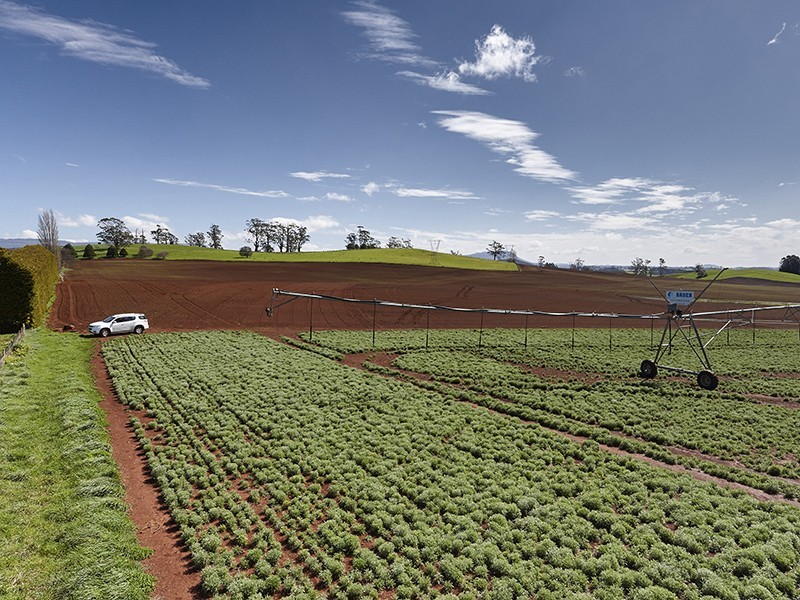 Lot 1 Bass Highway, Deloraine TAS 7304